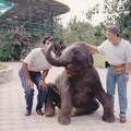 19940514-21泰國之旅13