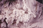 19940514-21泰國之旅18