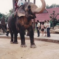 19940514-21泰國之旅-59