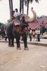 19940514-21泰國之旅-59