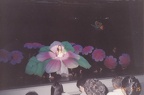 19940514-21泰國之旅-17-1